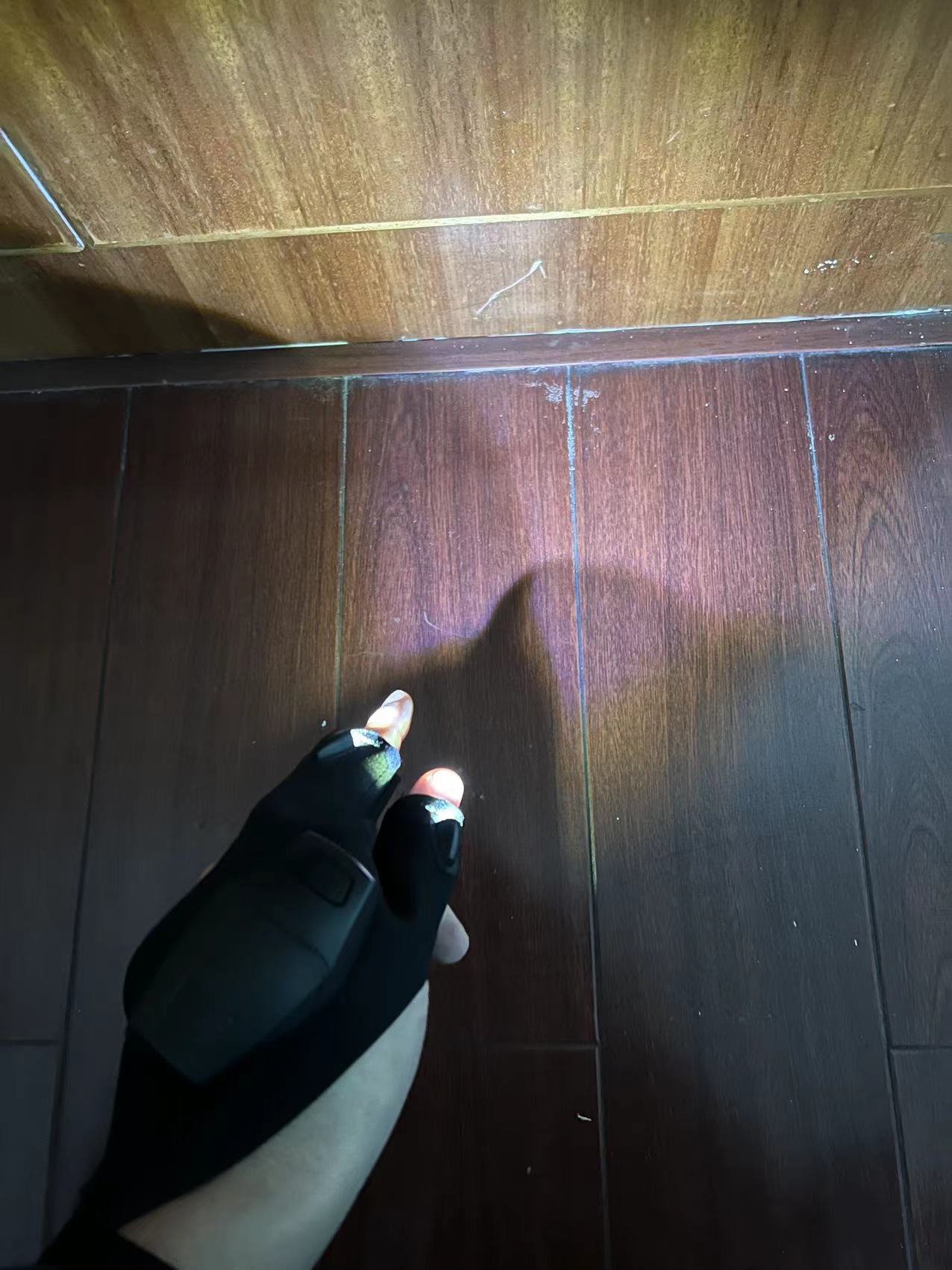 Lighting Glove
